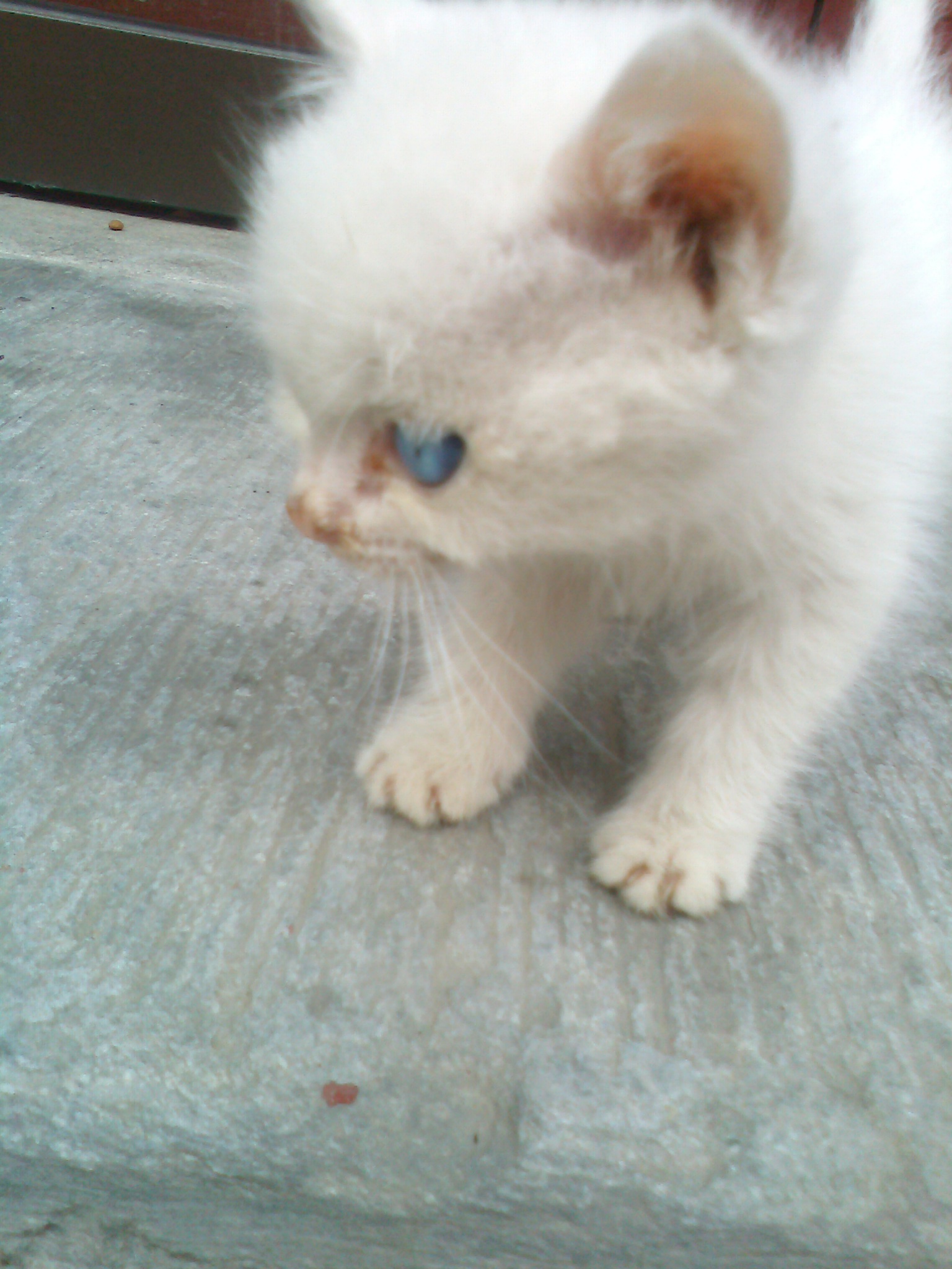 IMG0030A.jpg